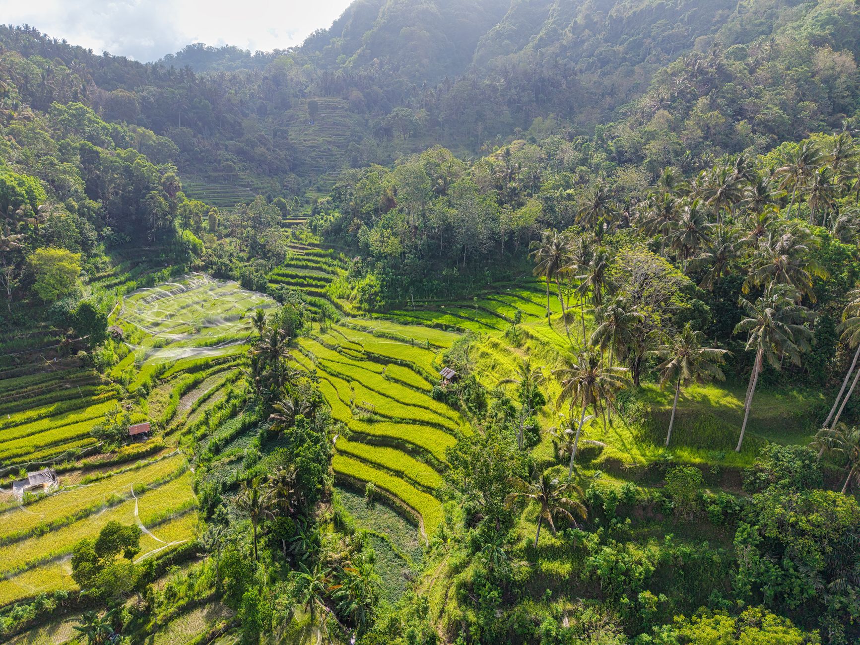 eSIM for Southeast Asia 2026: Thailand, Vietnam, Bali and Beyond